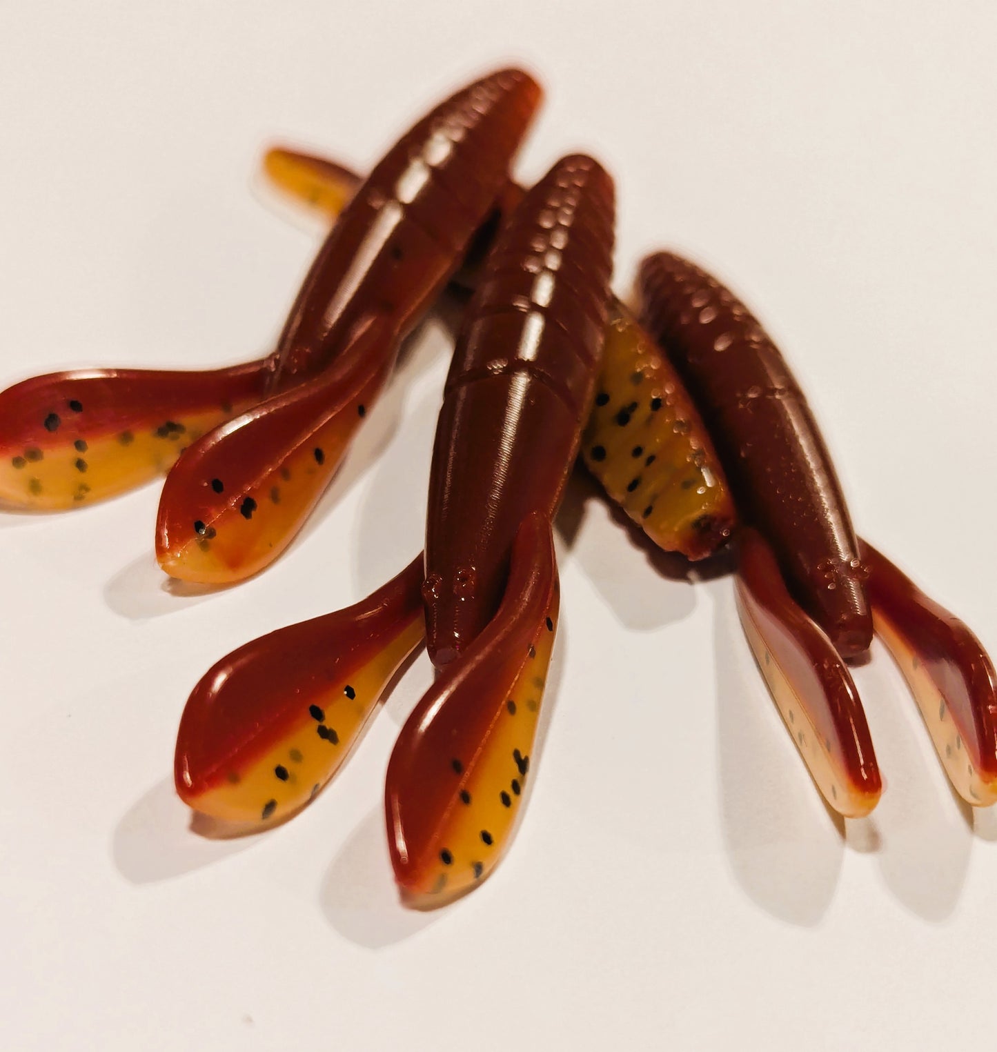 Stic Bug