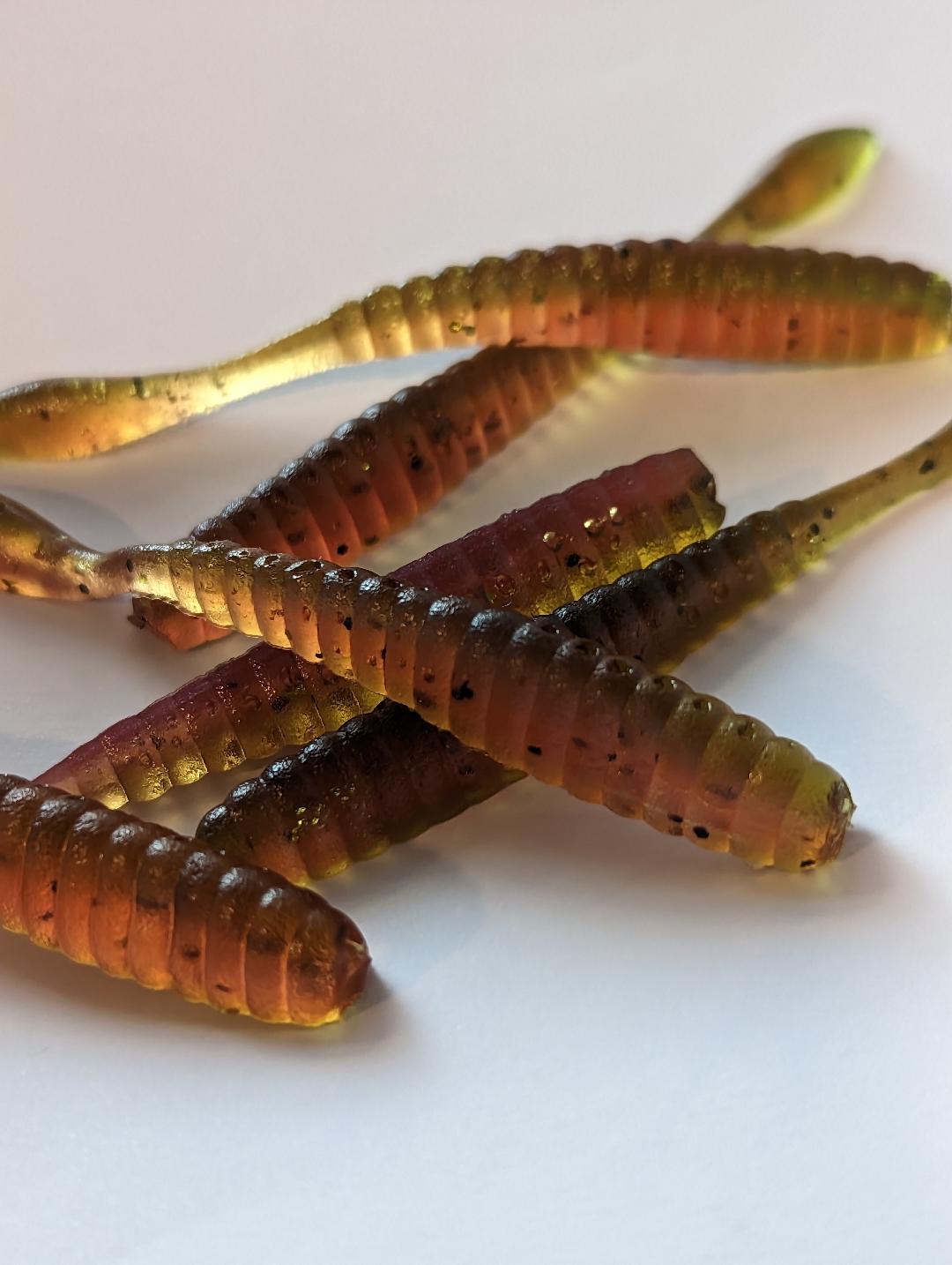 DS worm