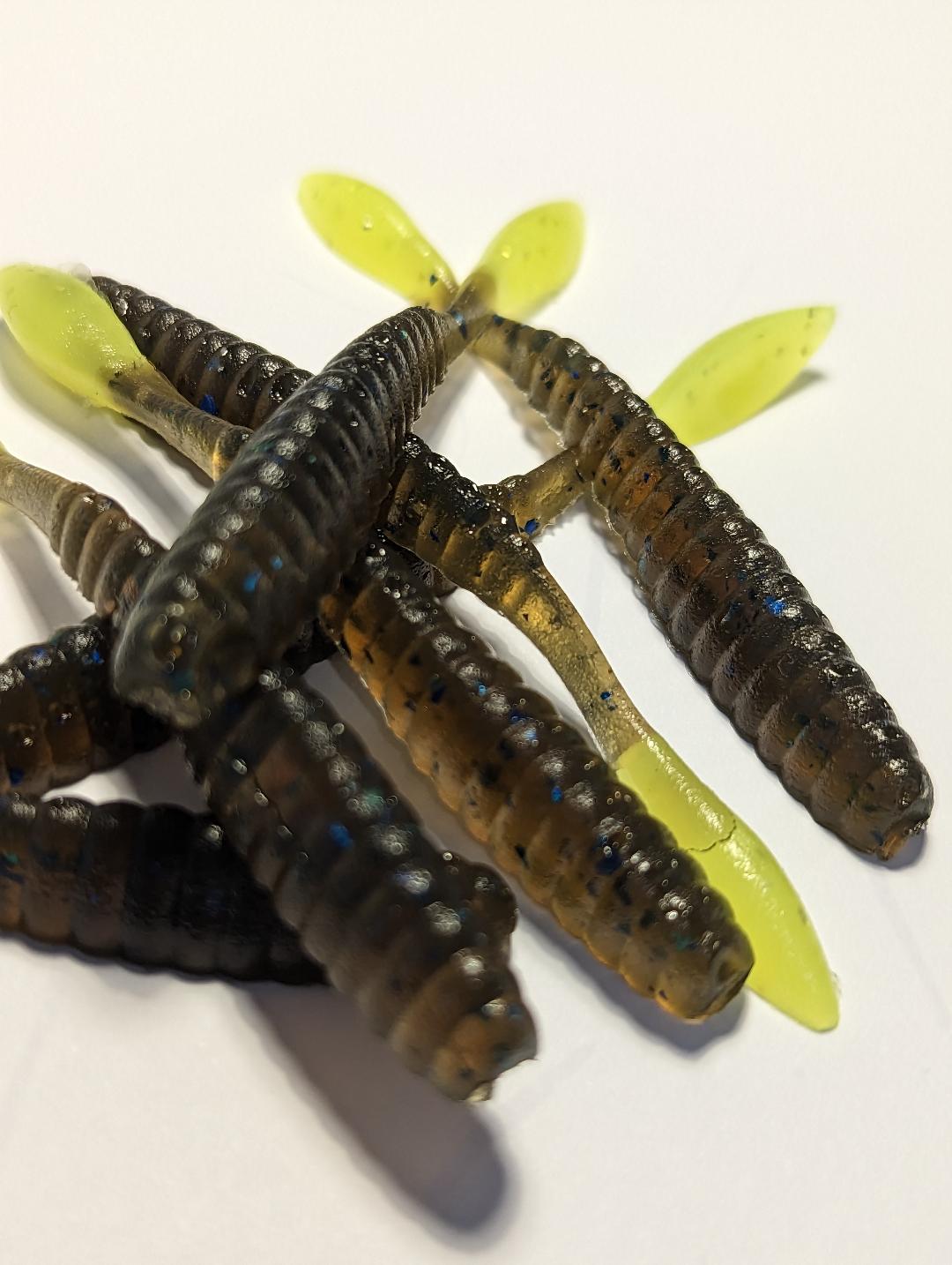 DS worm
