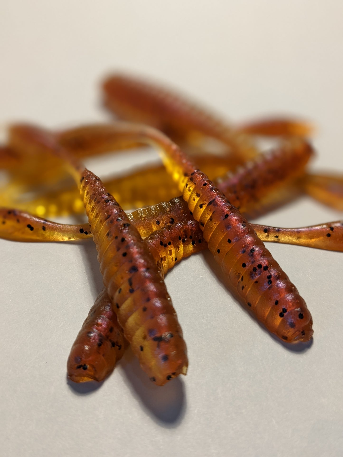DS worm